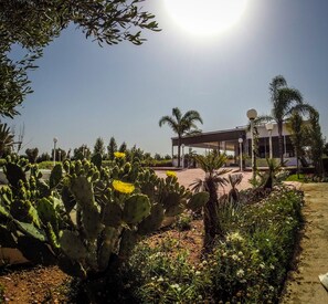 Jardin