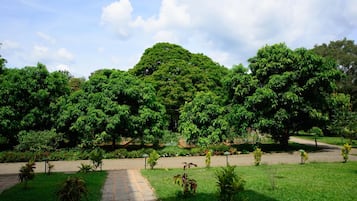 Khuôn viên nơi lưu trú
