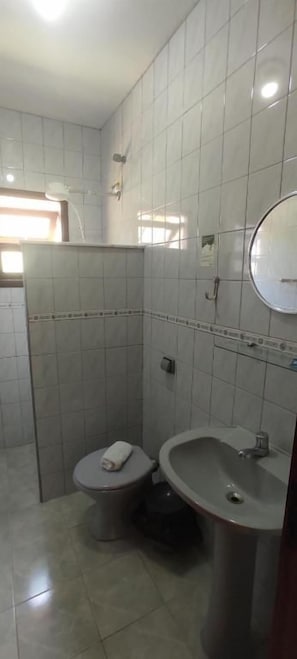 A bathroom with a toilet, sink, and mirror.