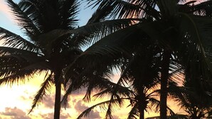Una playa con palmeras y un atardecer sobre el océano.
