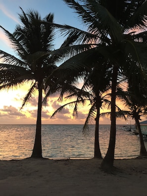 View from property - The Palapa House (San Pedro)