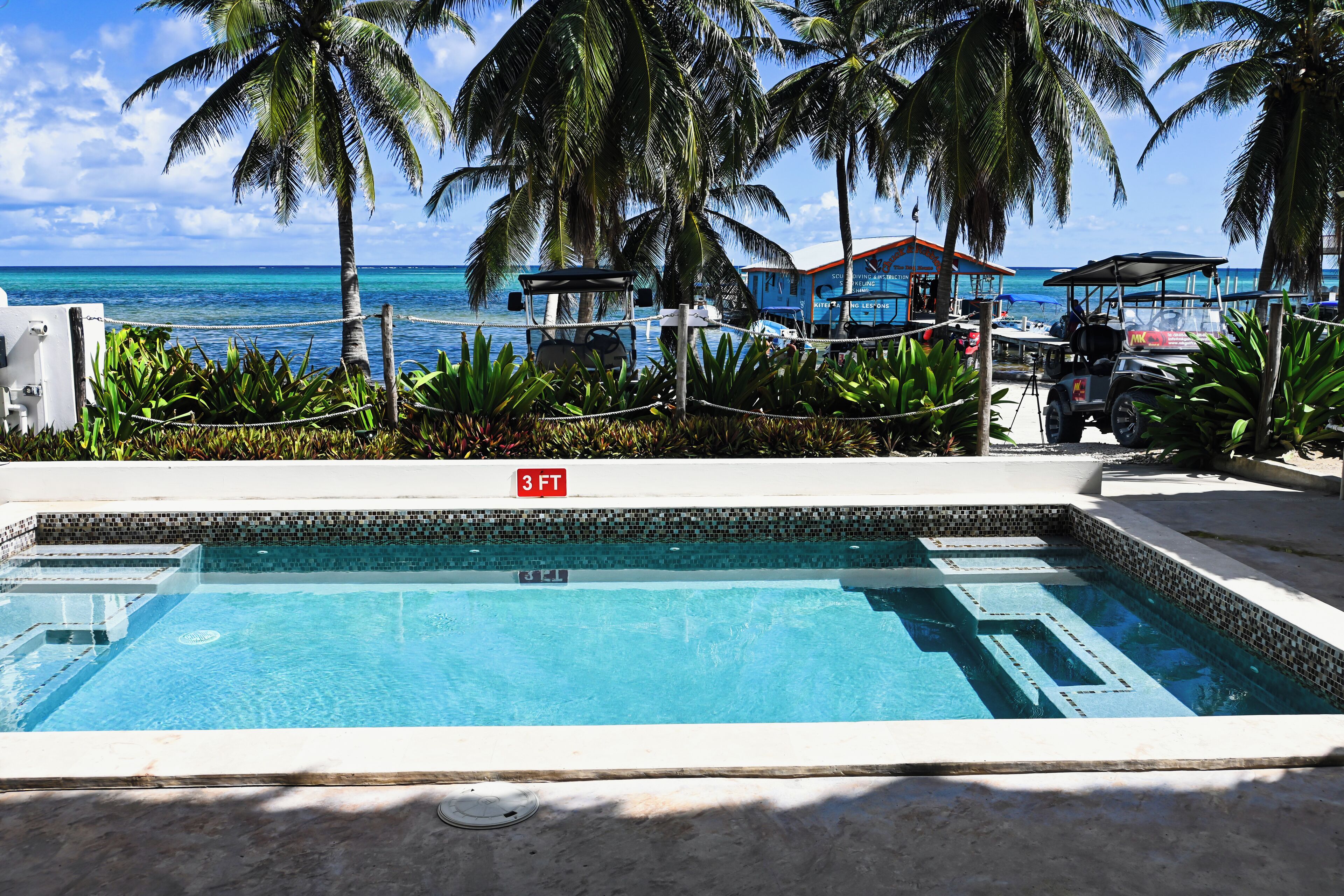 Outdoor pool, pool loungers