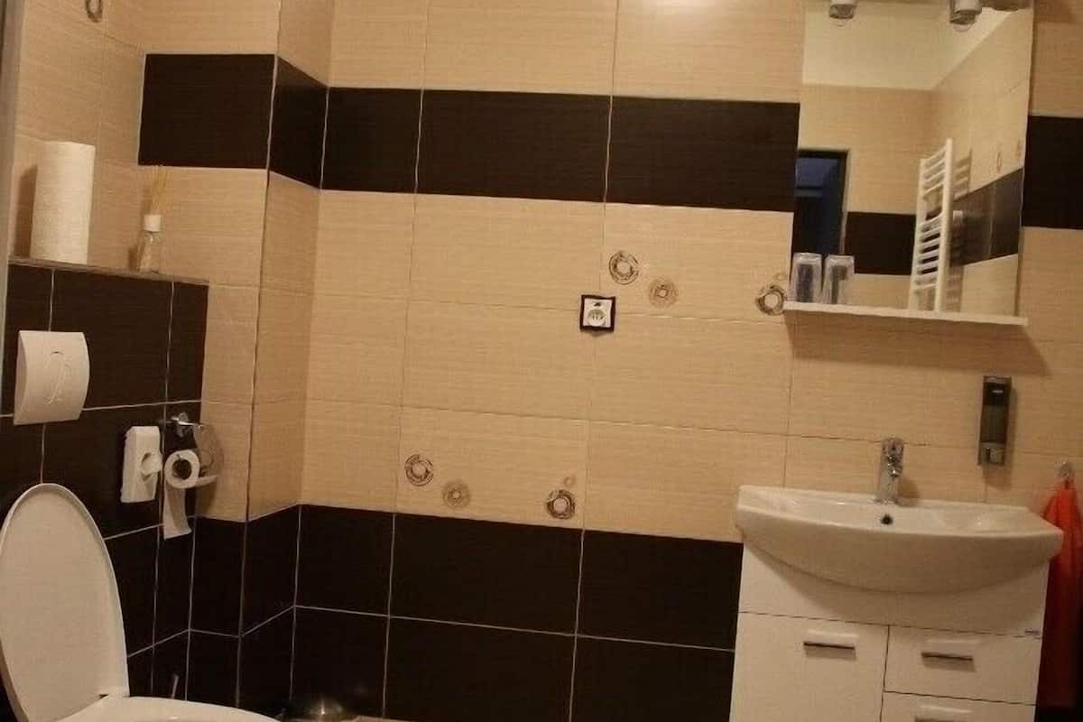 standard suite (double) | bathroom amenities | shower, free toiletries, hair dryer, towels