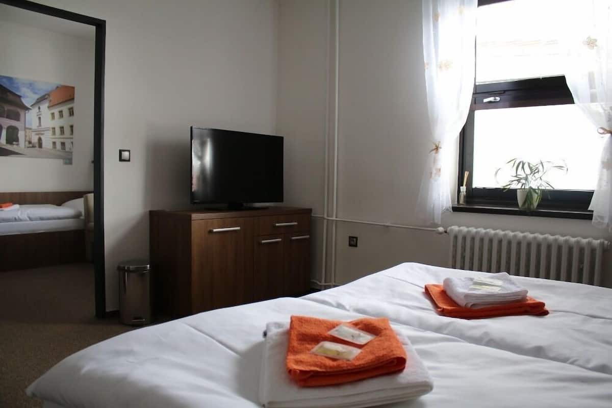 Apartment (with Private Bathroom) | Room amenity