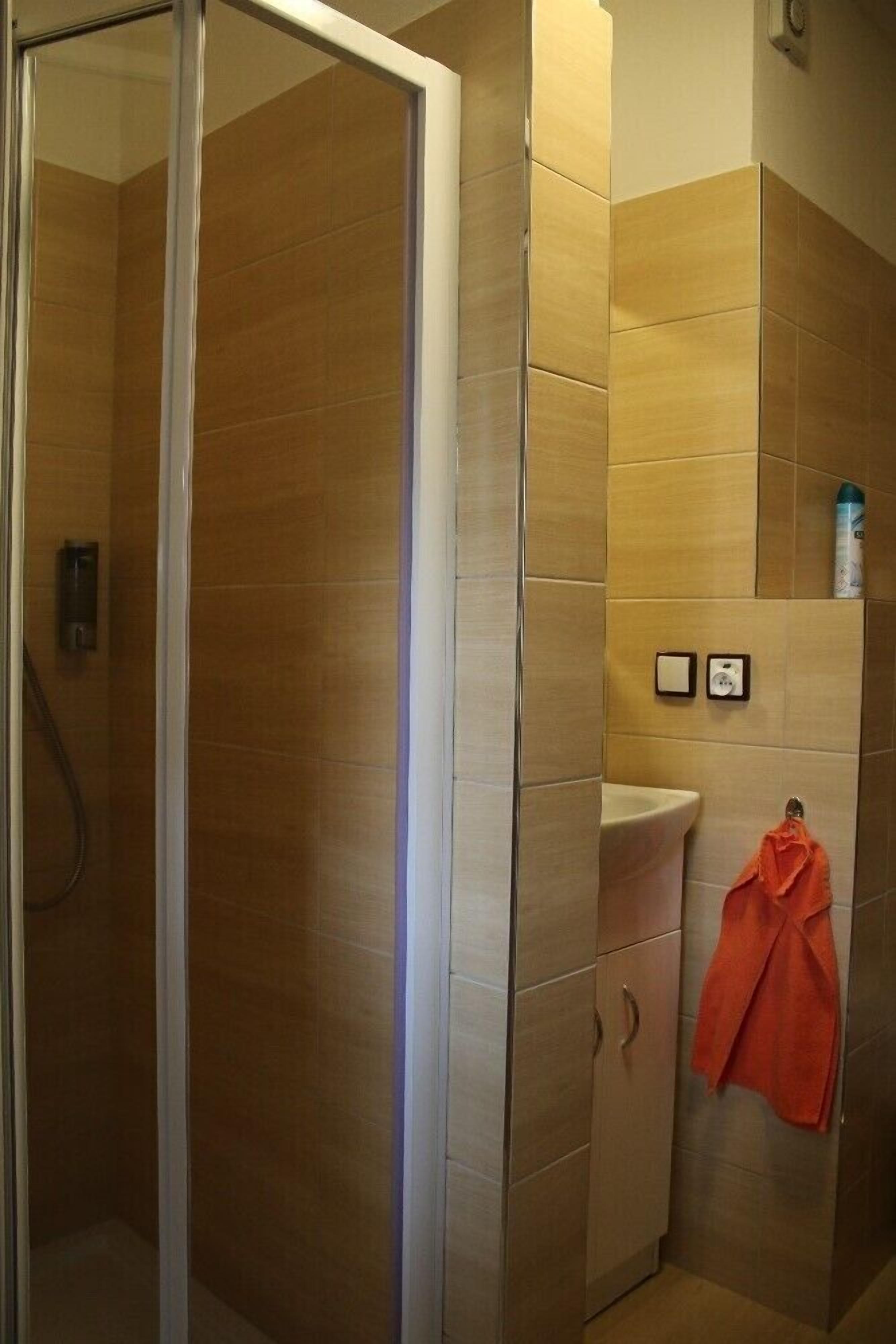 standard double room | bathroom amenities | shower, free toiletries, hair dryer, towels