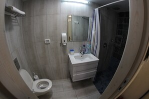 Ein Badezimmer mit Toilette, Waschbecken, Spiegel, Dusche und Handtuchhalter.