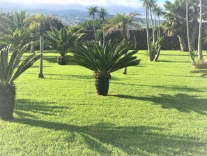 Jardín