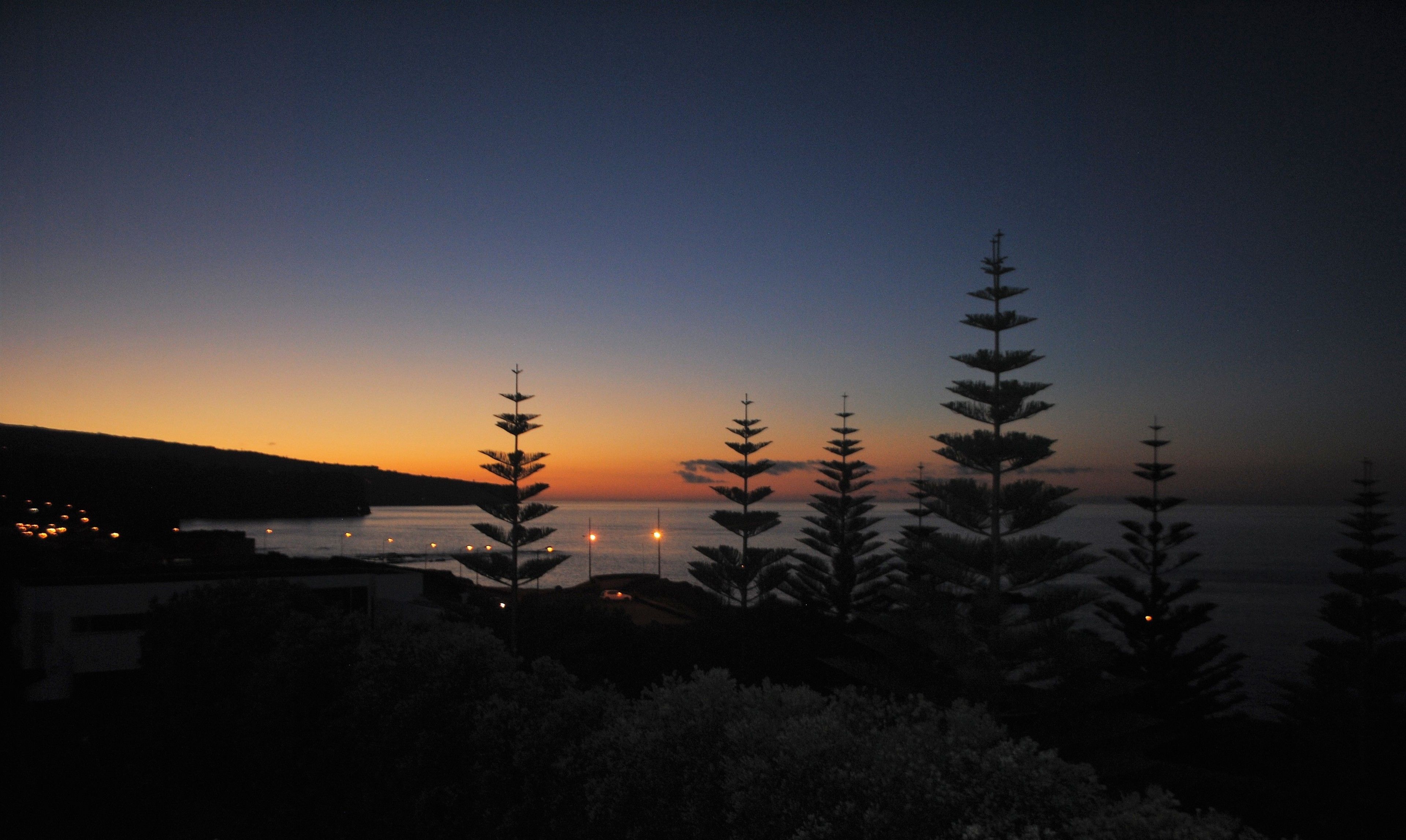 A coastal landscape at dusk with silhouetted trees and a distant view of a body of water.