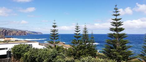 A coastal landscape with a clear view of the ocean, a rocky cliff, and a row of coniferous trees.