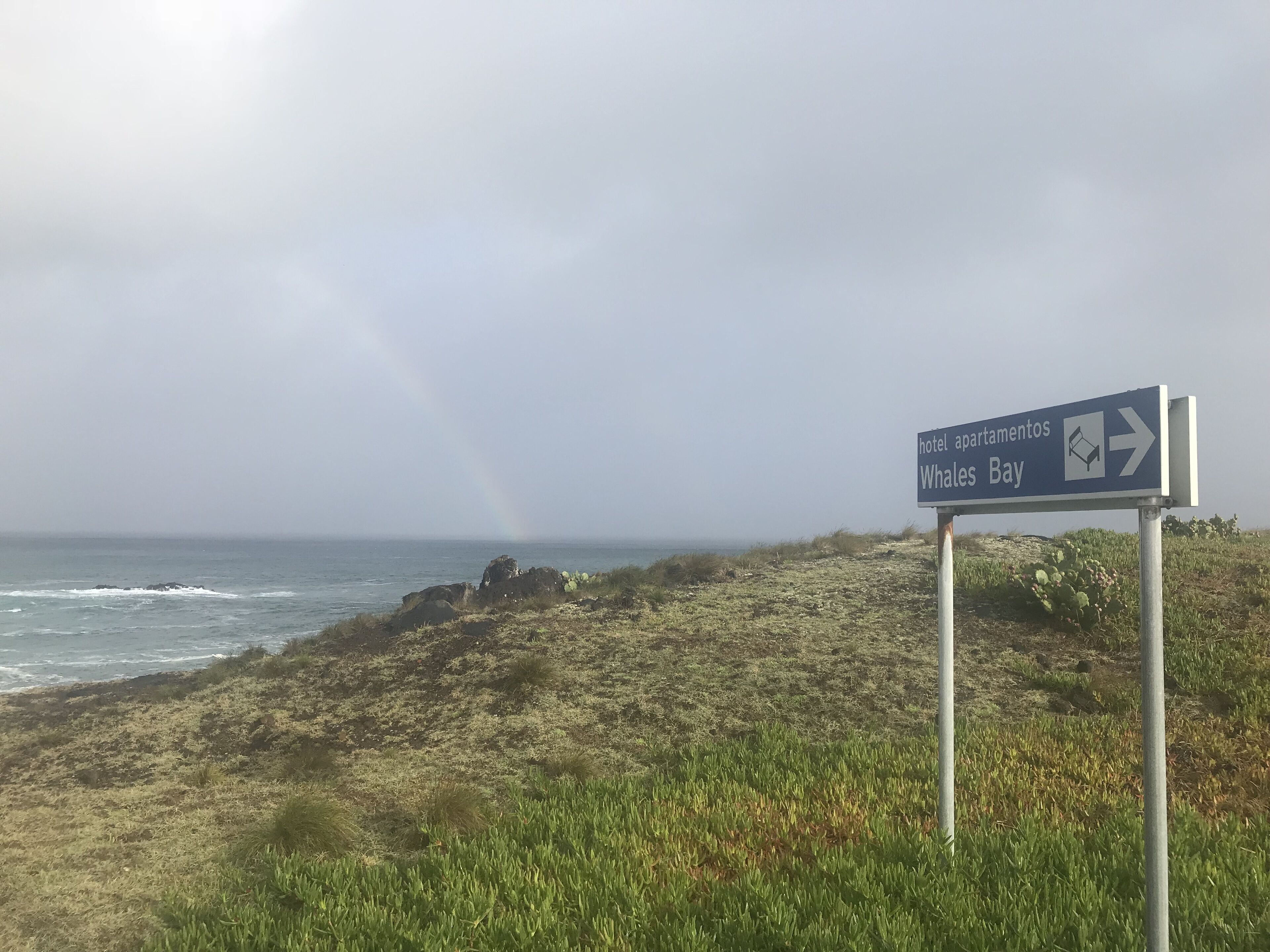Un panneau de signalisation indiquant la direction de « hôtel-appartements » et de « Whales Bay », avec une plage et l’océan en arrière-plan.