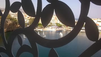 Vista desde la propiedad