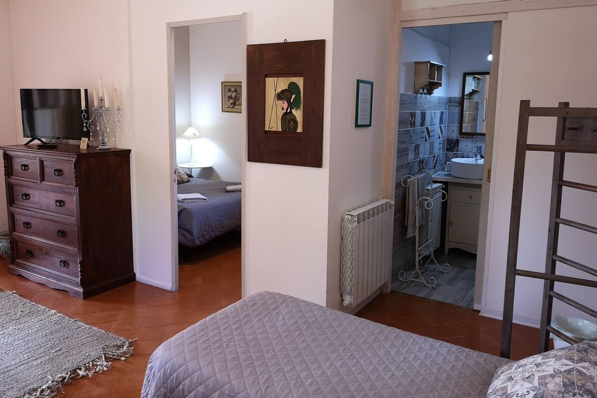 Ein Schlafzimmer mit Bett, Kommode, Fernseher und einem durchgehenden Tür sichtbaren Badezimmer.