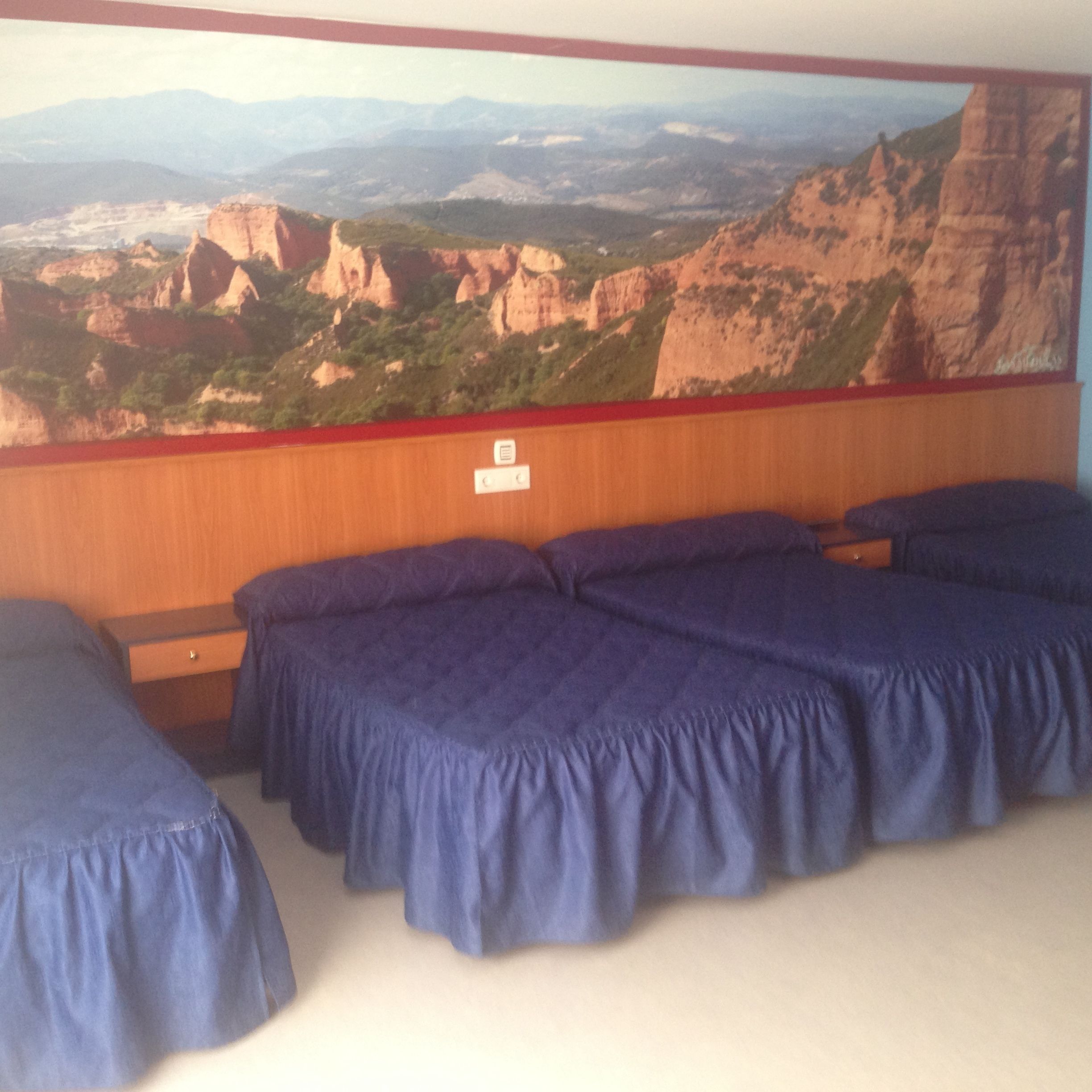 quadruple room | bathroom | combined shower/bathtub, bidet, towels