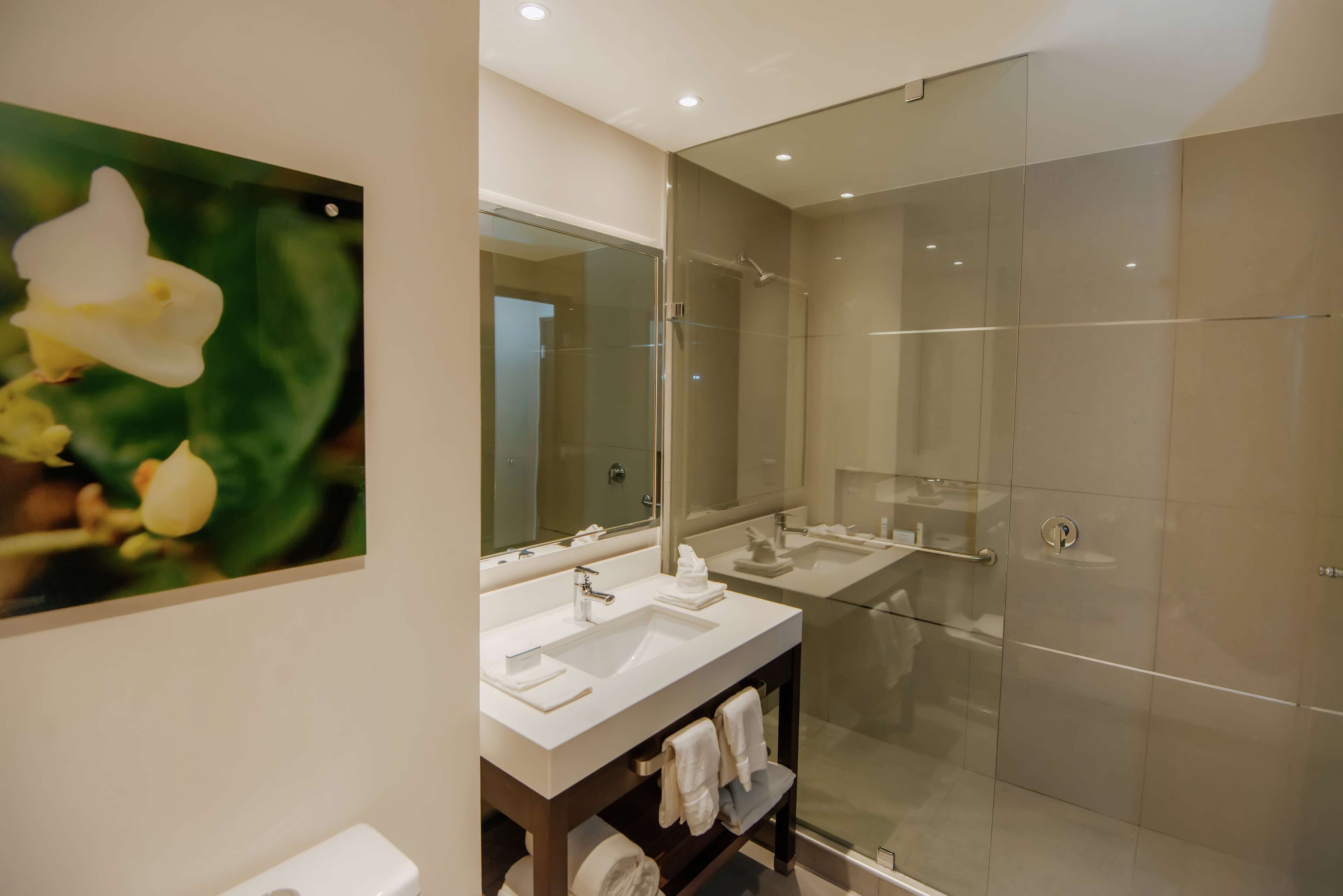 Un baño moderno con dos lavamanos, una ducha con mampara de vidrio y un espejo grande.