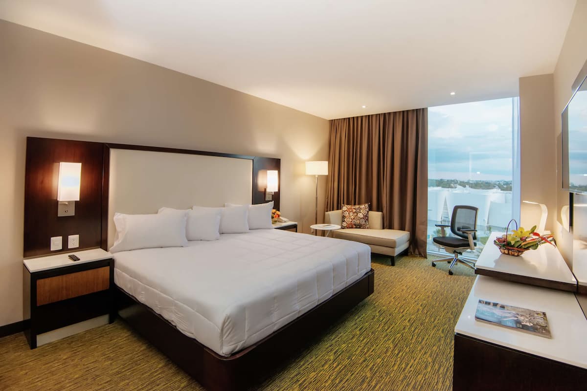 room, 1 king bed | view from room