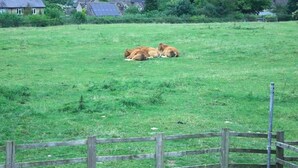 A rural landscape with a grassy field, a wooden fence, and houses in the background. - Stone House Bed and Breakfast (Banbury)