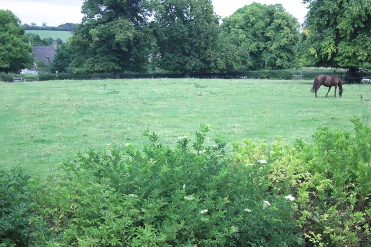 Jardín