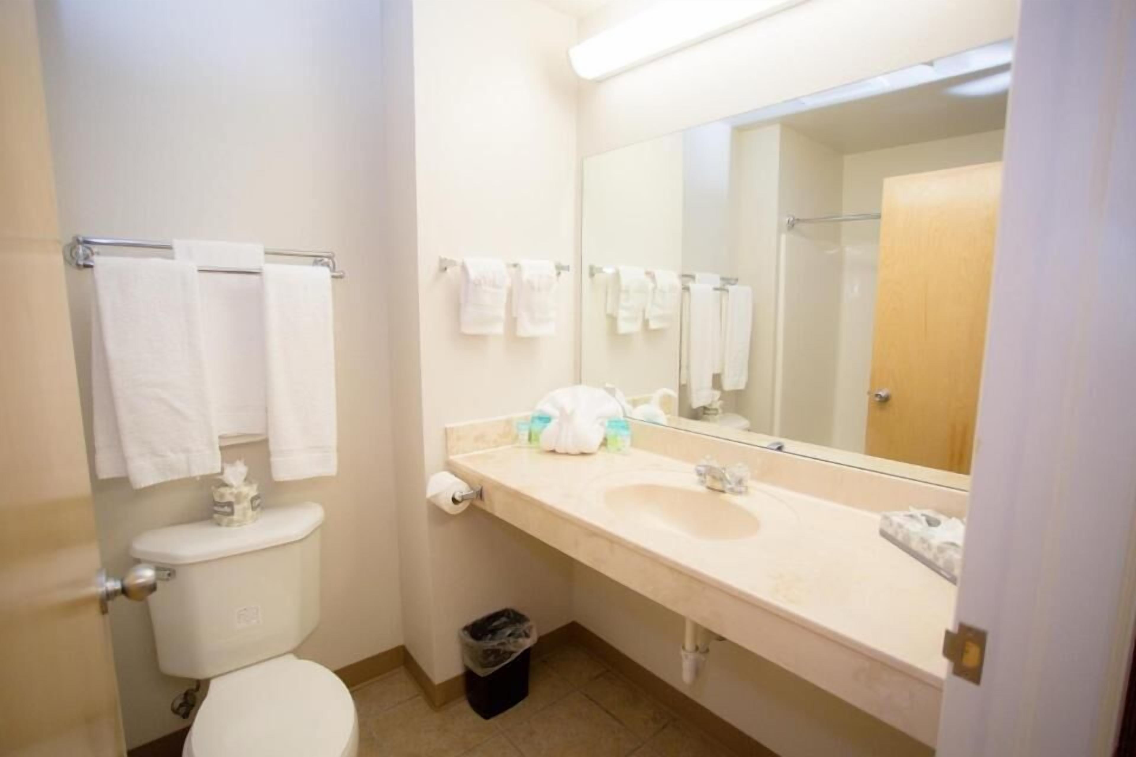 standard room, 1 king bed | bathroom | combined shower/bathtub, deep-soaking bathtub, rainfall showerhead