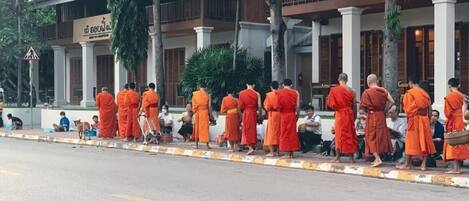 Pemandangan darat dari hartanah