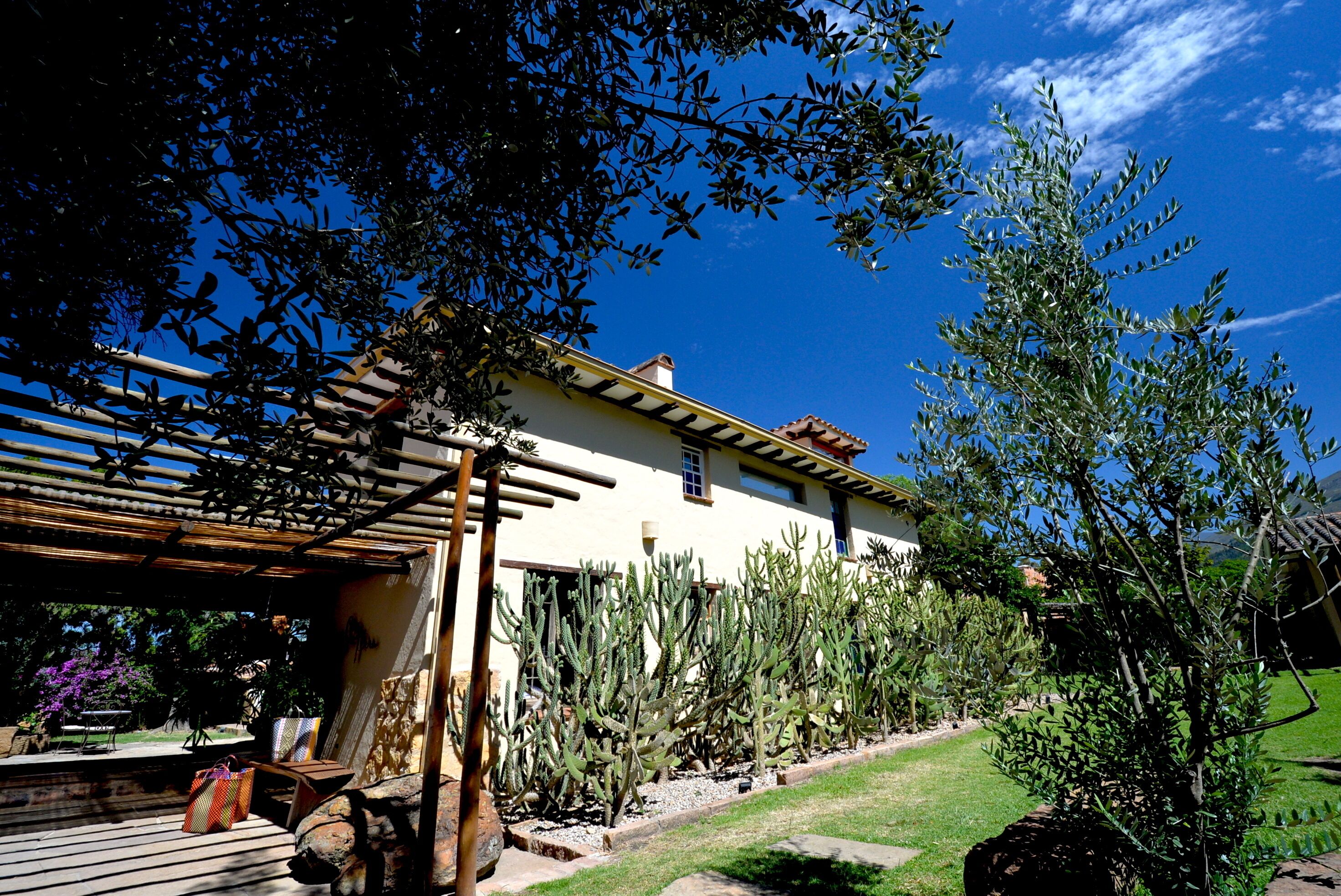 A house with a pergola, cactus garden, and a clear blue sky.