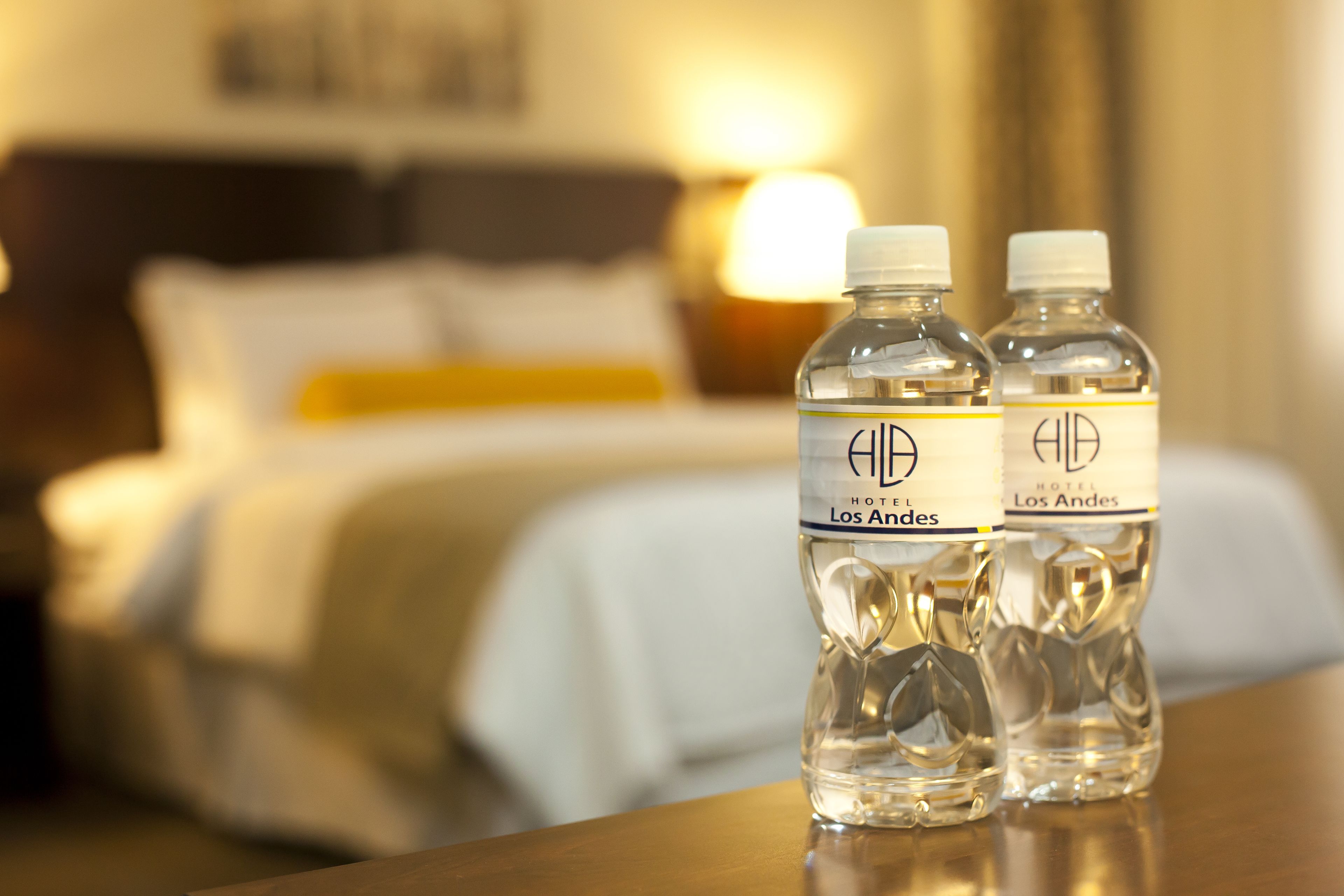 Photo - Hotel Los Andes