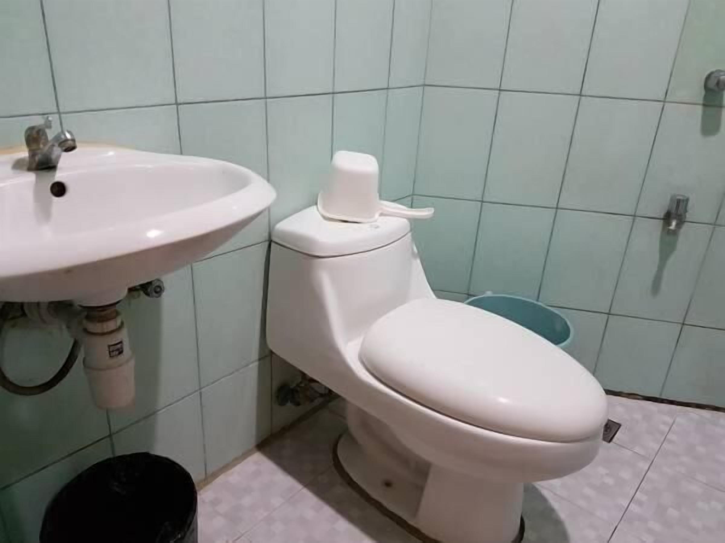 Une salle de bain avec un lavabo blanc, des toilettes et un bac bleu.