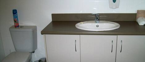 A bathroom with a toilet, sink, and cabinets.