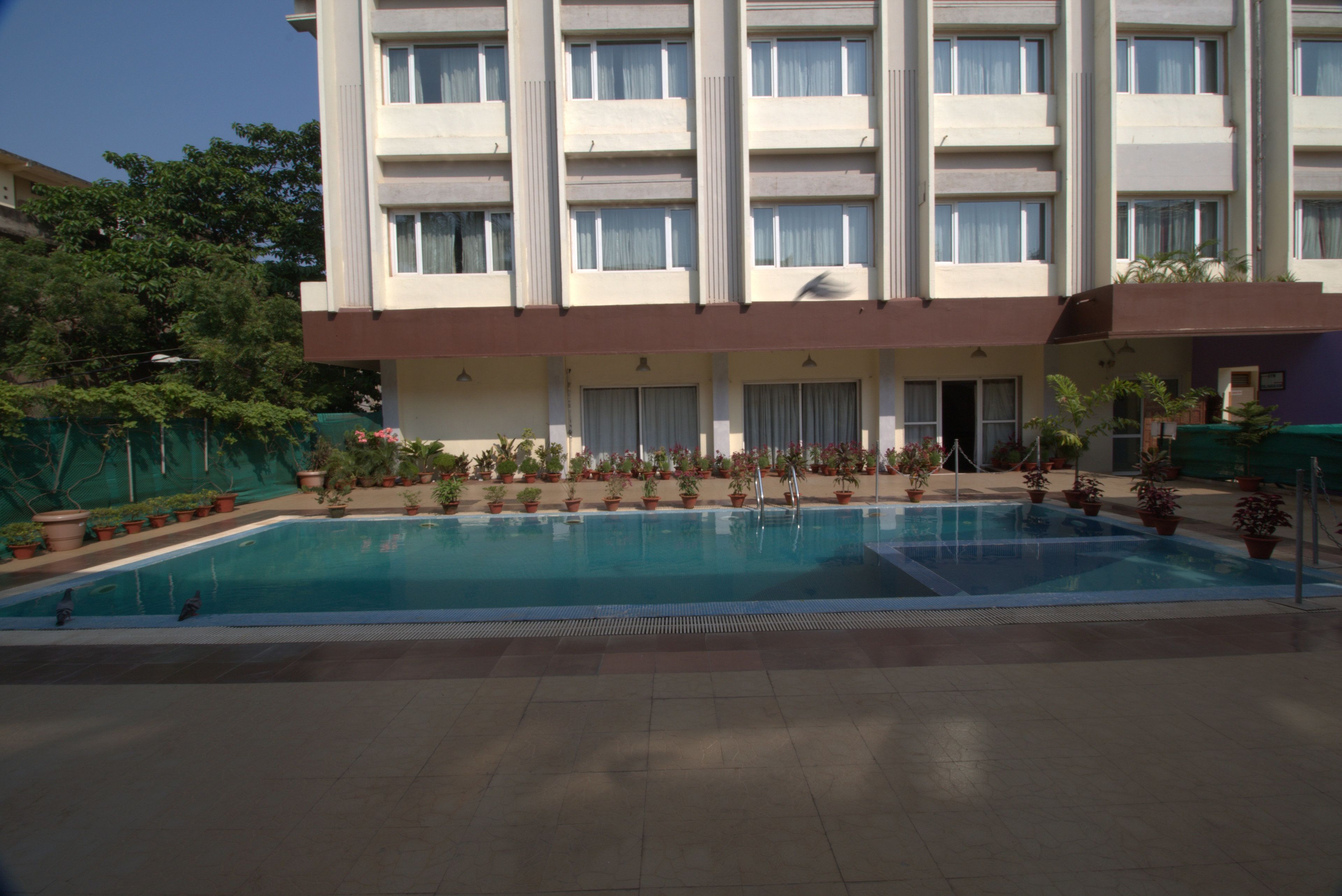 Un hotel con piscina, plantas en macetas y un edificio de varios pisos.