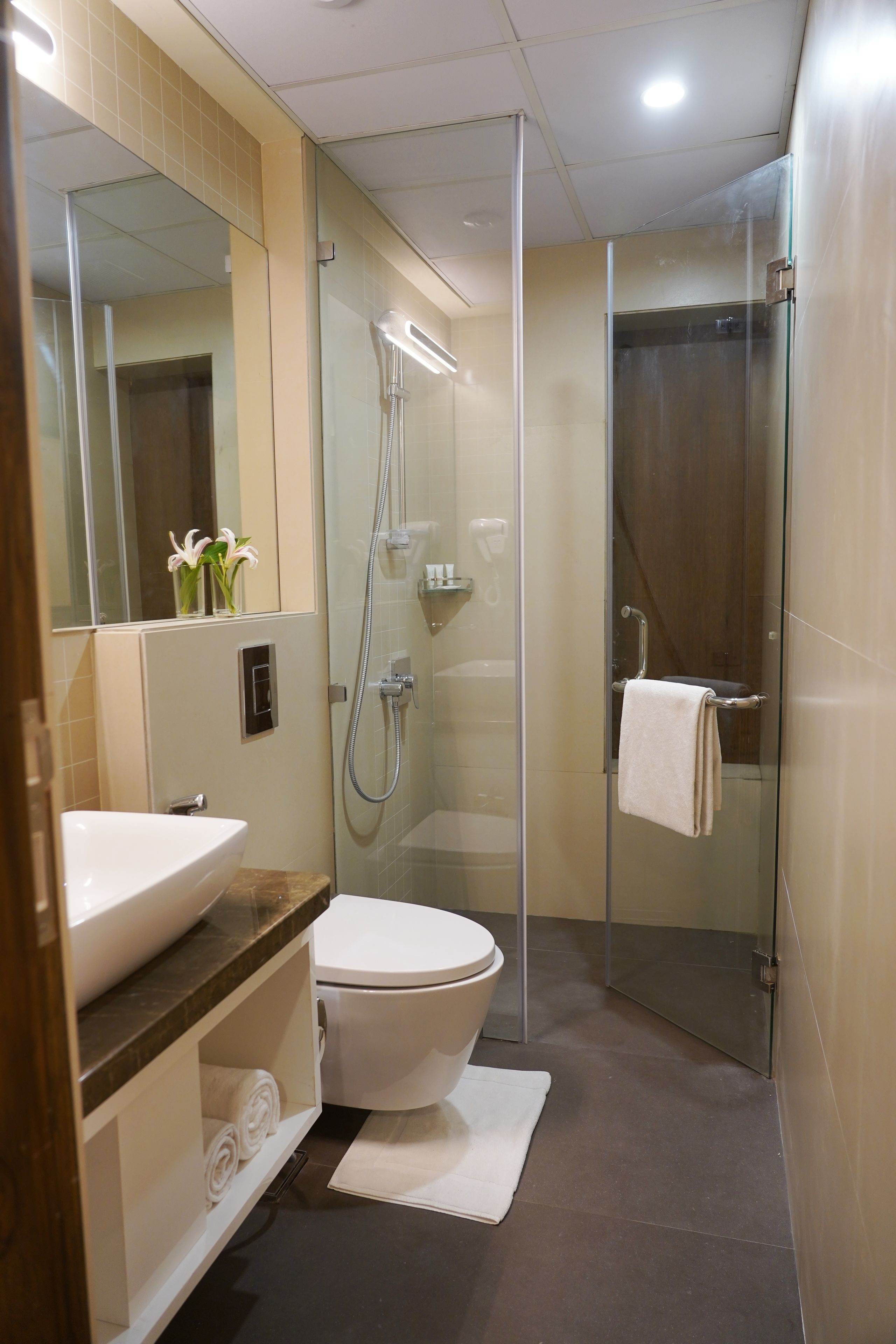 Un baño moderno con ducha envuelta en vidrio, un lavamanos blanco y un inodoro.
