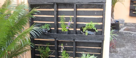 Terrain de lâhĂ©bergement