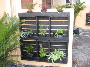 A black wooden planter with various potted plants against a beige wall. - SM Lodge Mauritius (Trou d'Eau Douce)