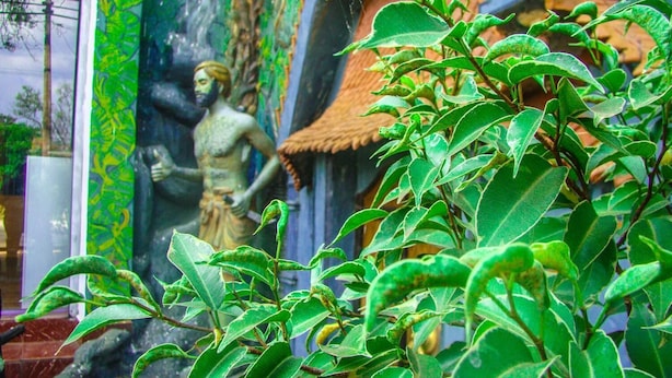 A statue of a figure in traditional attire, a window with green patterned curtains, and a plant with variegated leaves. - Hotel Mahawasala (Dambulla)