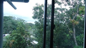 A view from a window with a metal structure, dense foliage, and a distant building. - Hotel Mahawasala (Dambulla)