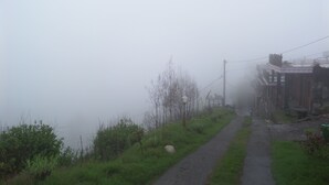 A foggy rural road with a building on the right. - Pondok Wisata Adas (Ngadisari)