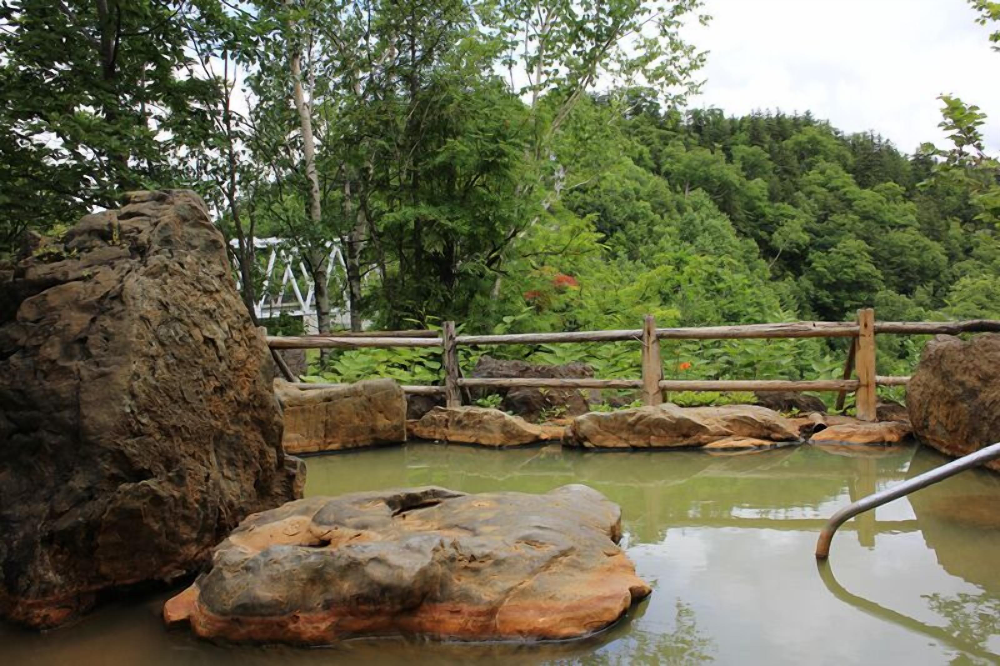Un elemento acuático natural con rocas y una valla de madera, rodeado de abundante vegetación.