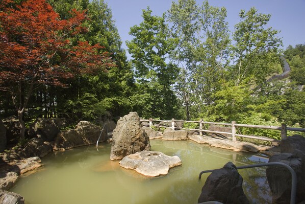 Un jardín japonés tradicional con un estanque, rocas y un puente de madera.