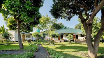 Vista al jardín