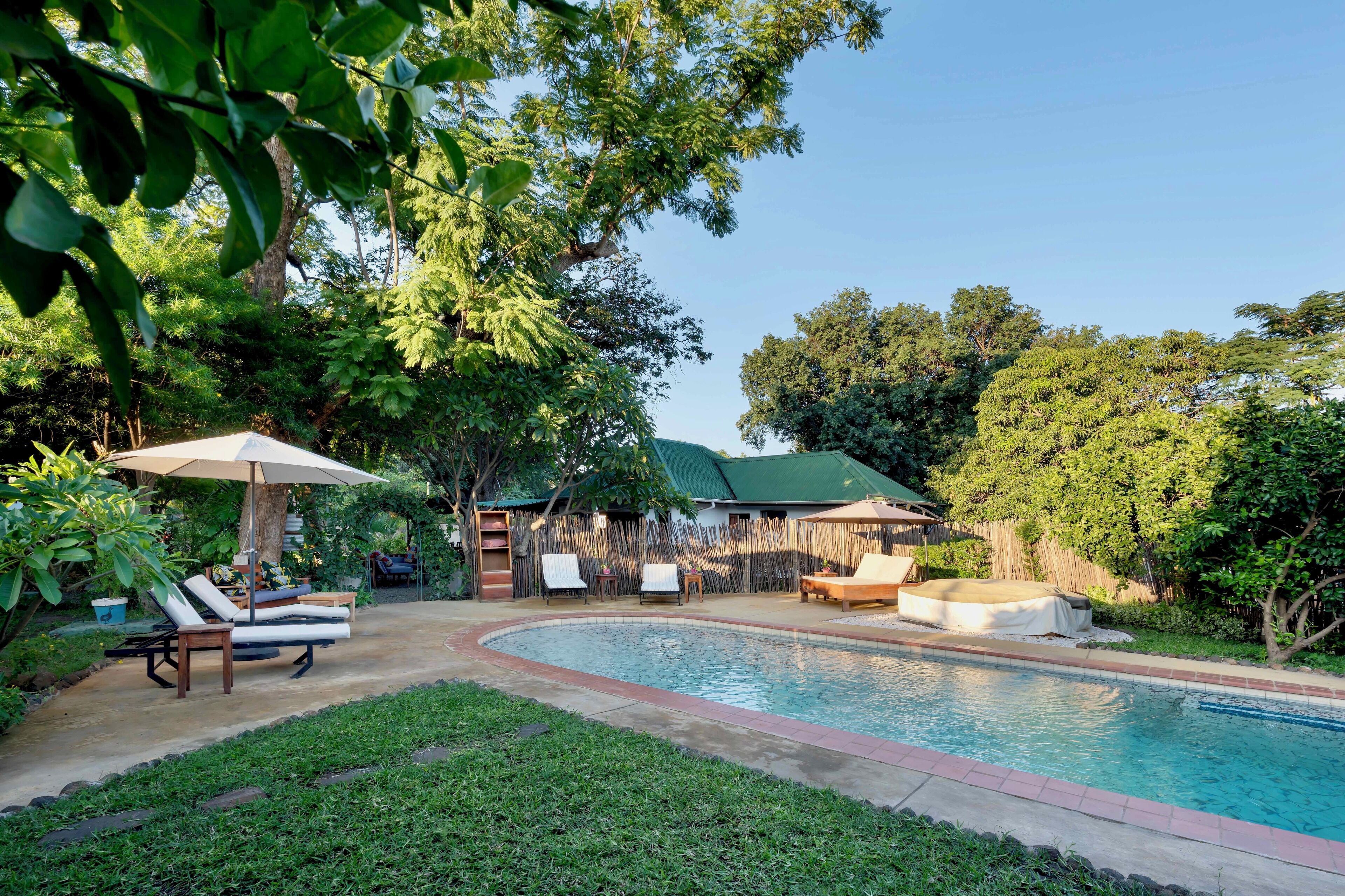 Outdoor pool, pool umbrellas, sun loungers