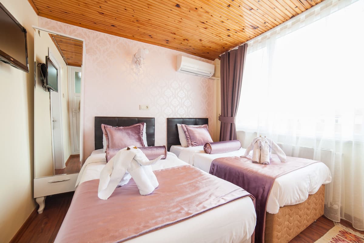 Habitación económica con 1 cama matrimonial o 2 individuales | 2 habitaciones, escritorio, cortinas blackout y insonorización