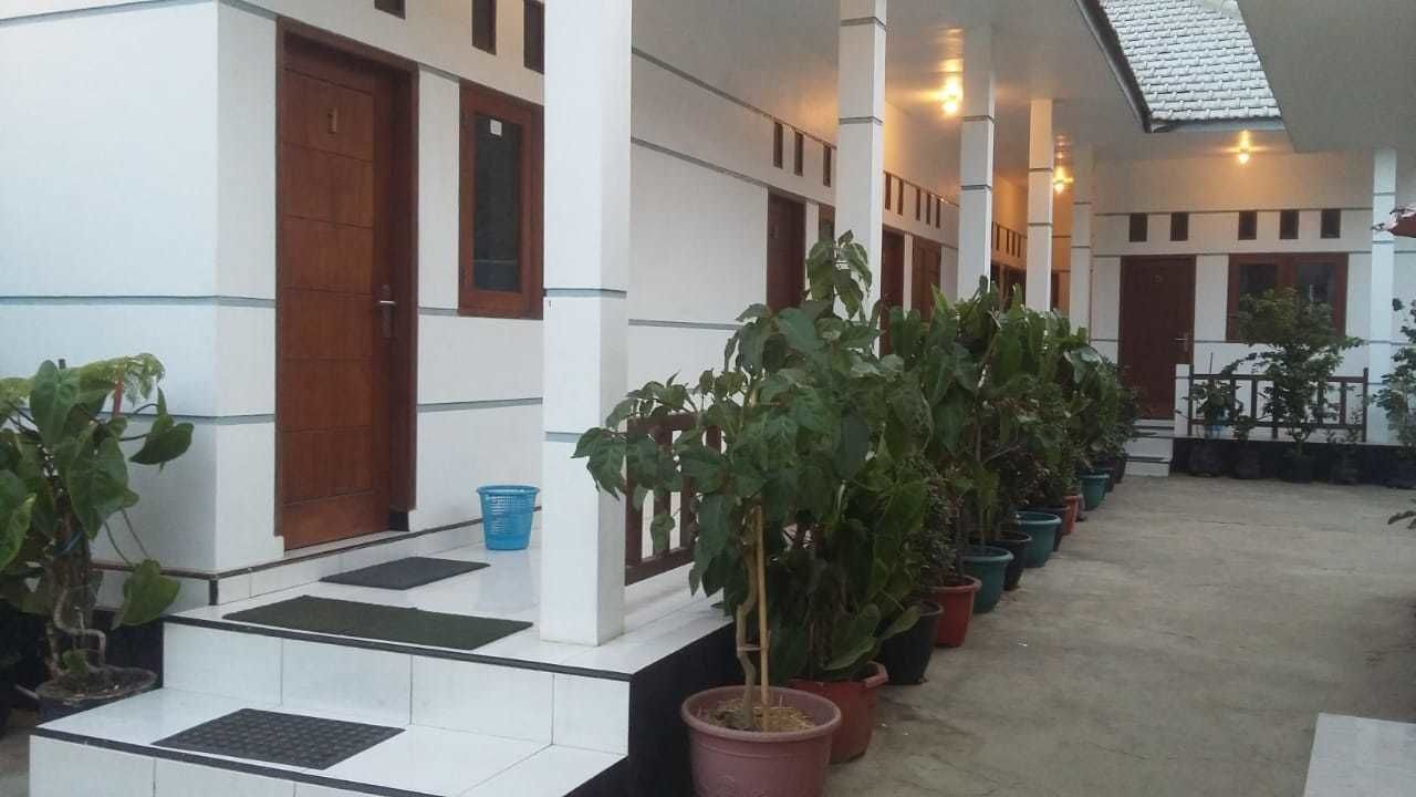 Un pasillo con suelo de baldosas, plantas en macetas y puertas que dan a varias habitaciones.