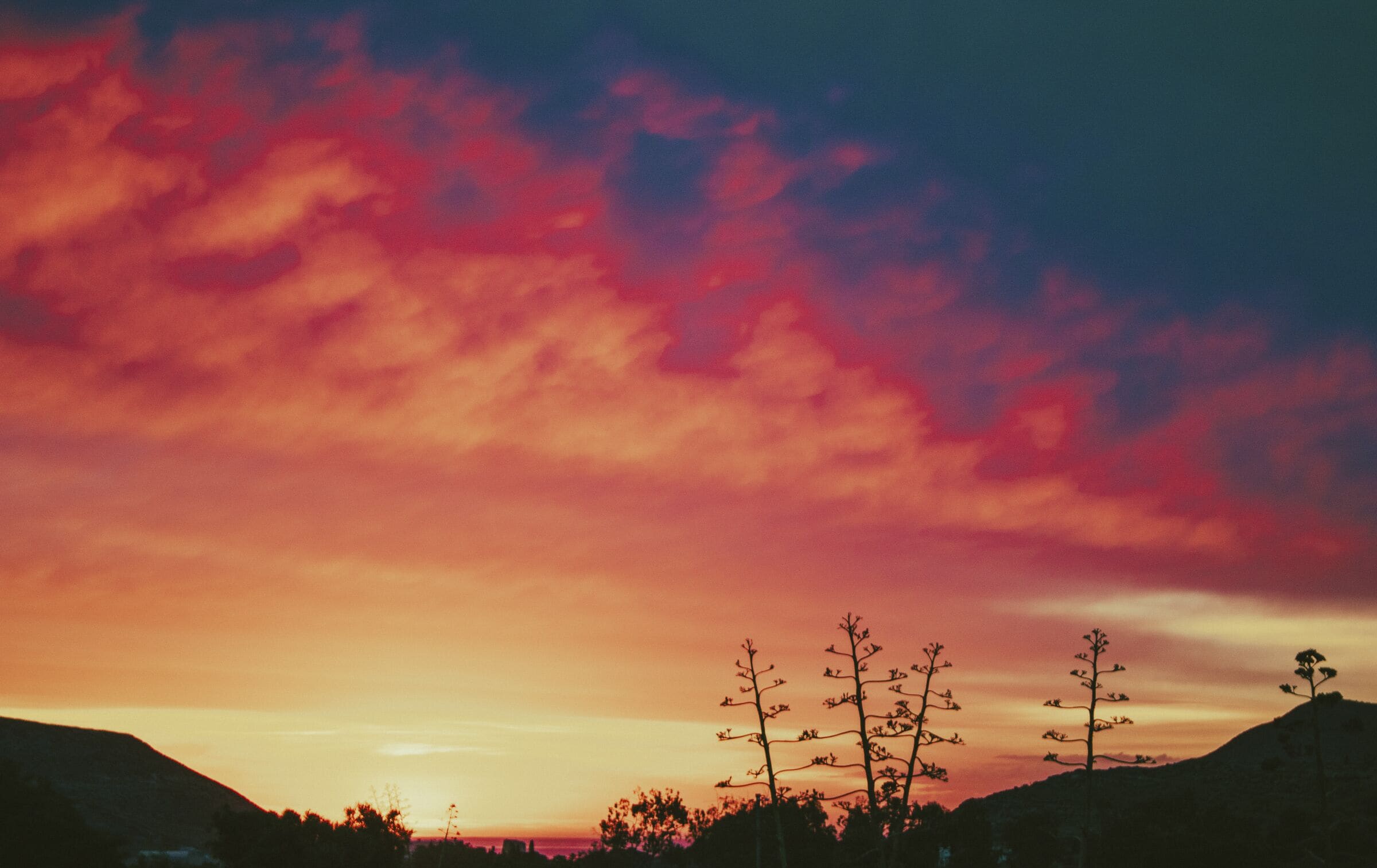A sunset with a vibrant sky and silhouettes of trees.