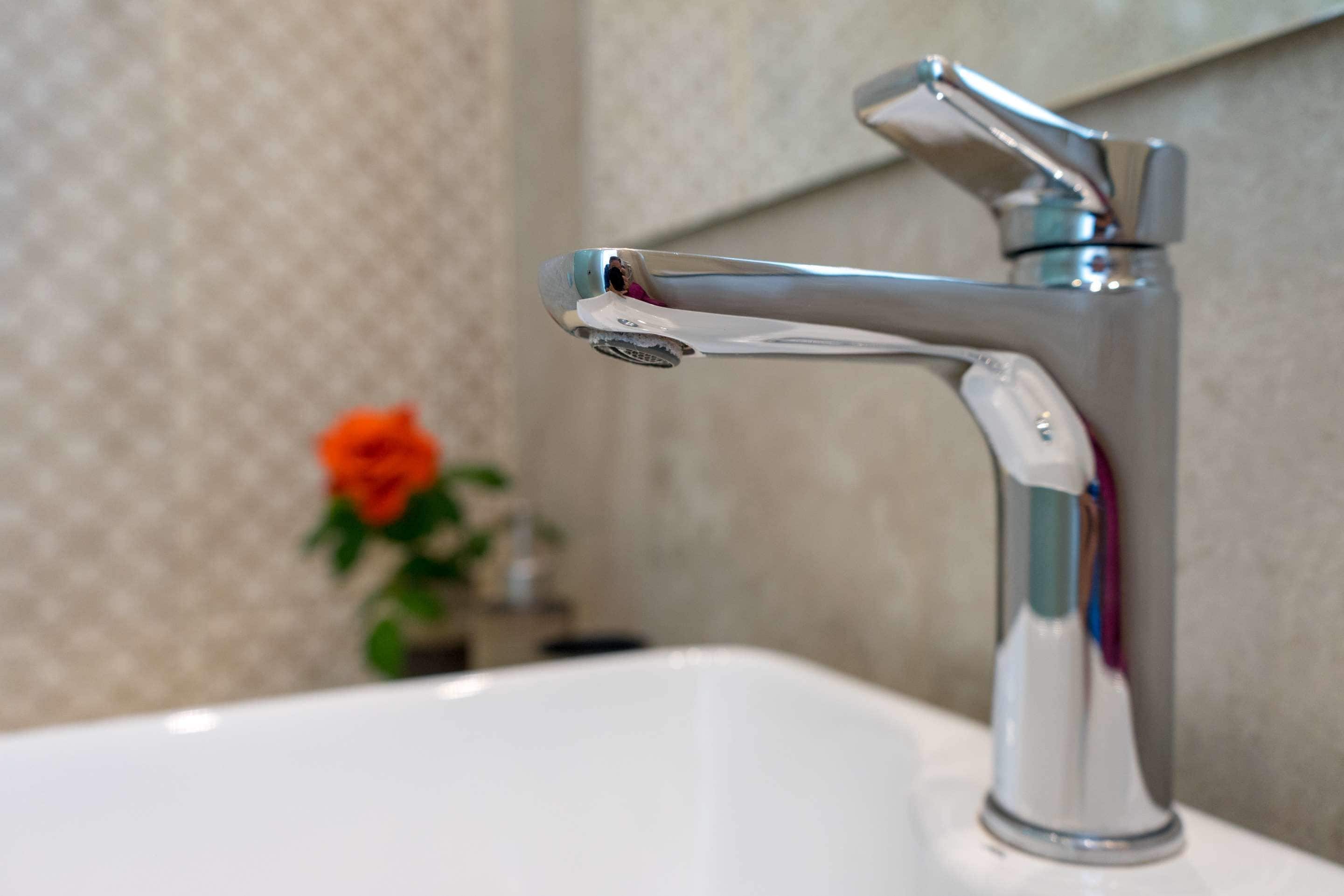 Un lavabo de salle de bain avec un robinet chromé et une fleur en arrière-plan.