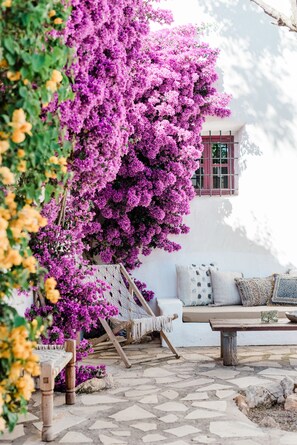Un espacio al aire libre acogedor con un banco blanco y cojines, rodeado por un muro blanco y una ventana con contraventanas rojas.