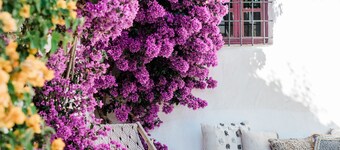 Can Sastre Boutique Hotel