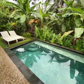 Deluxe-Doppelzimmer, eigener Pool | Blick auf den Garten