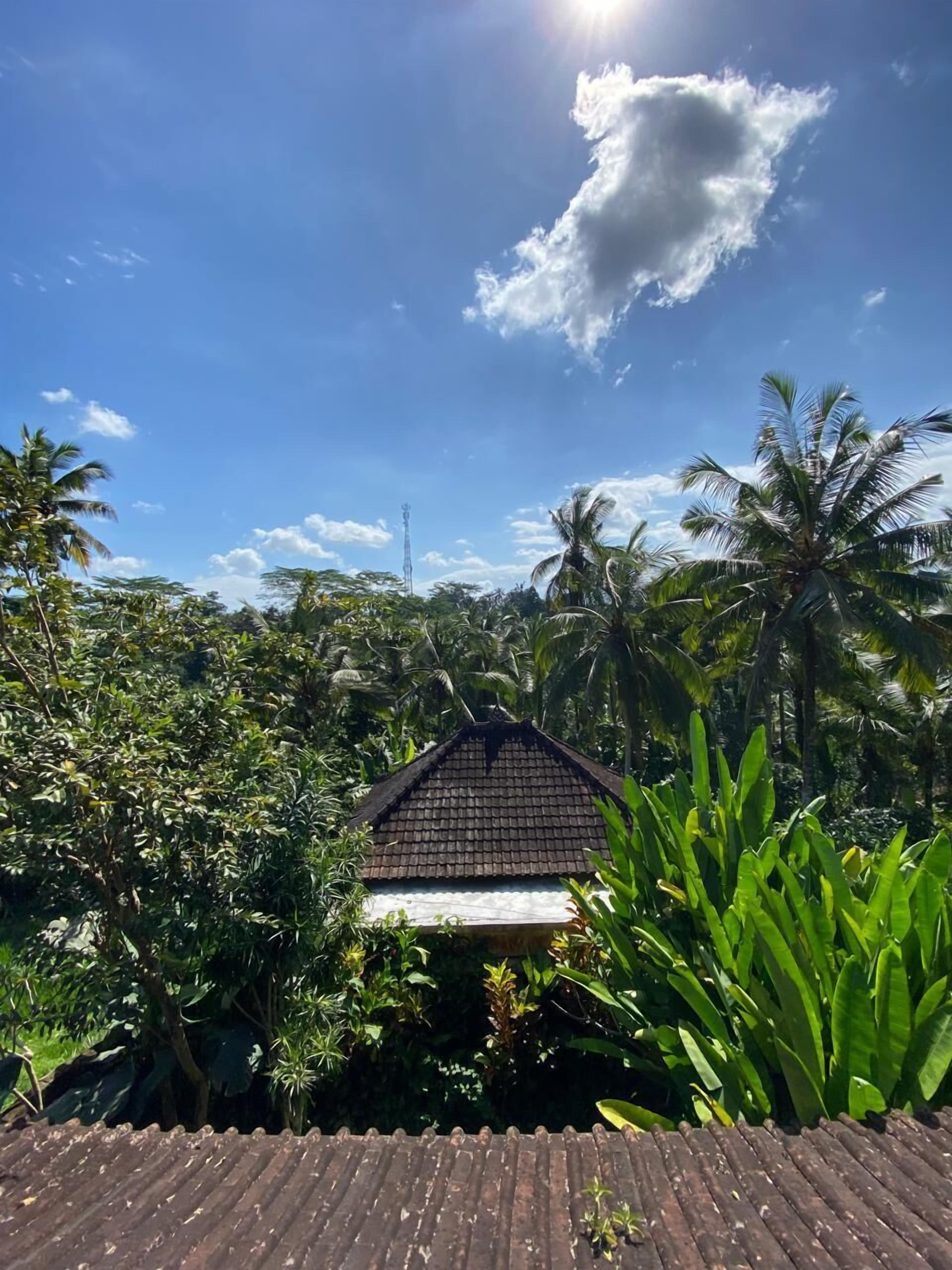 Photo - Dukuh Village Villas & Art