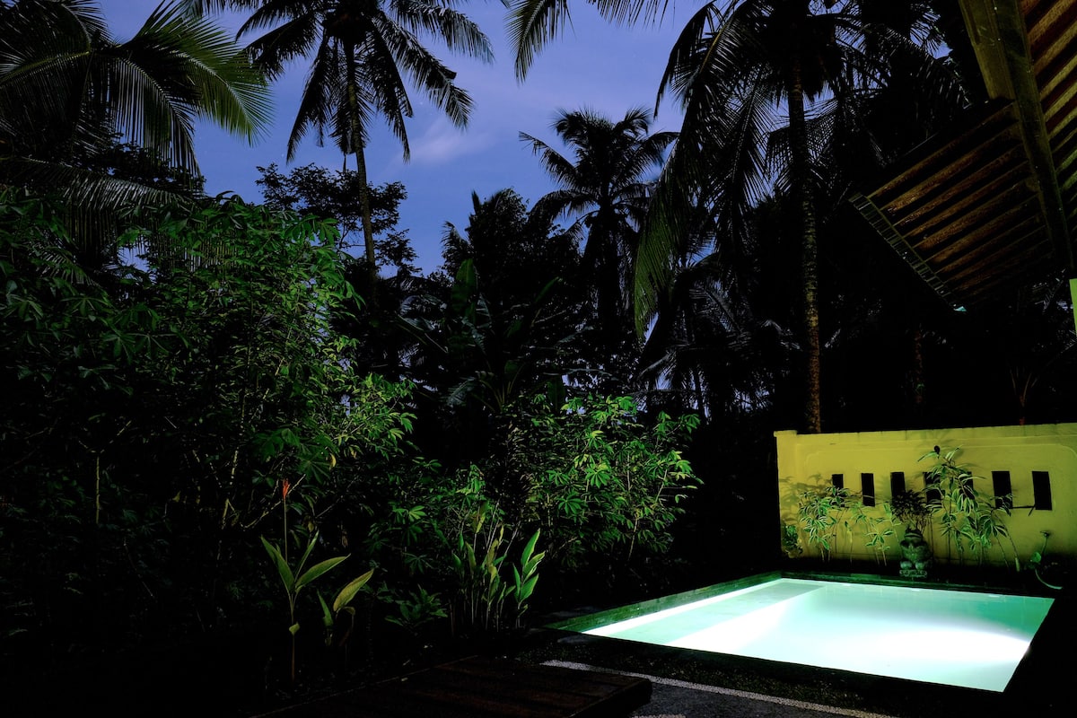 Deluxe-Doppelzimmer, eigener Pool | Eigener Pool