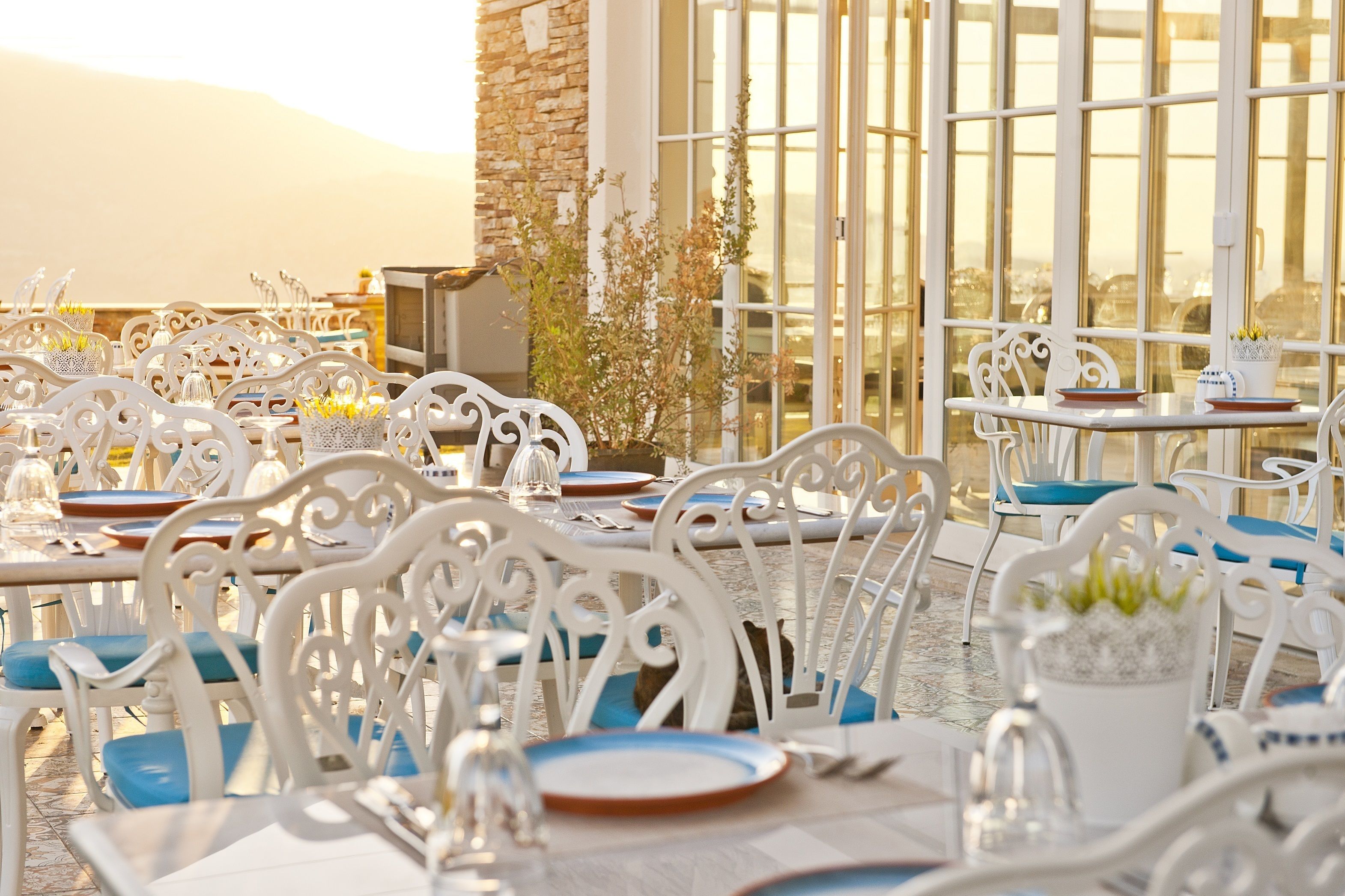 A terrace with white metal chairs and tables, some with blue cushions, and a potted plant on one table.