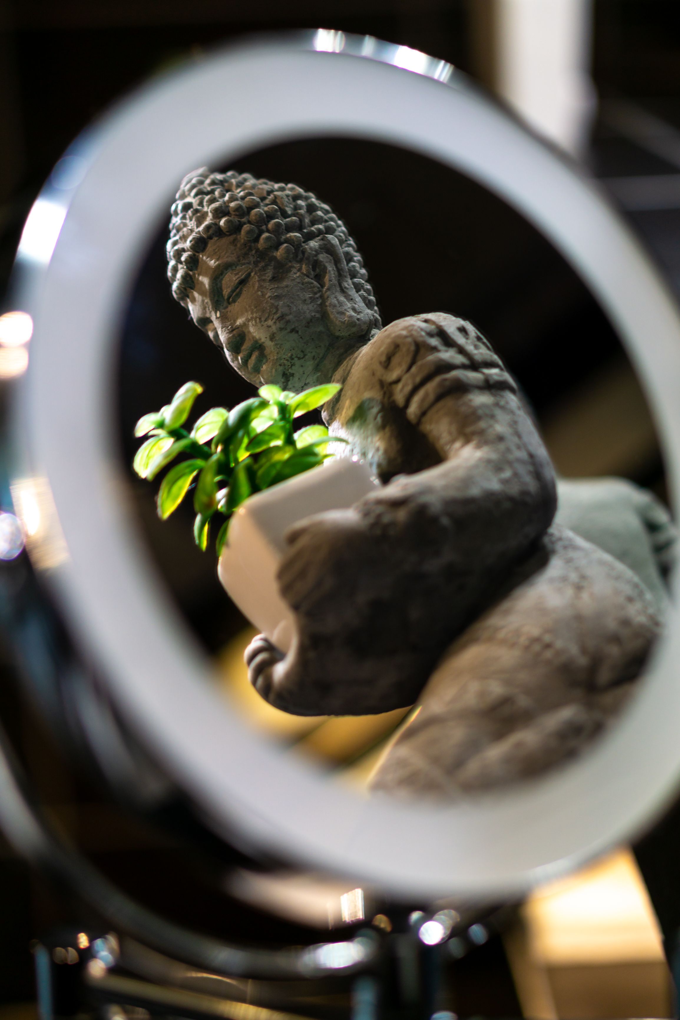 Eine Statue einer sitzenden Figur, die eine Pflanze hält, betrachtet durch einen runden Spiegel.