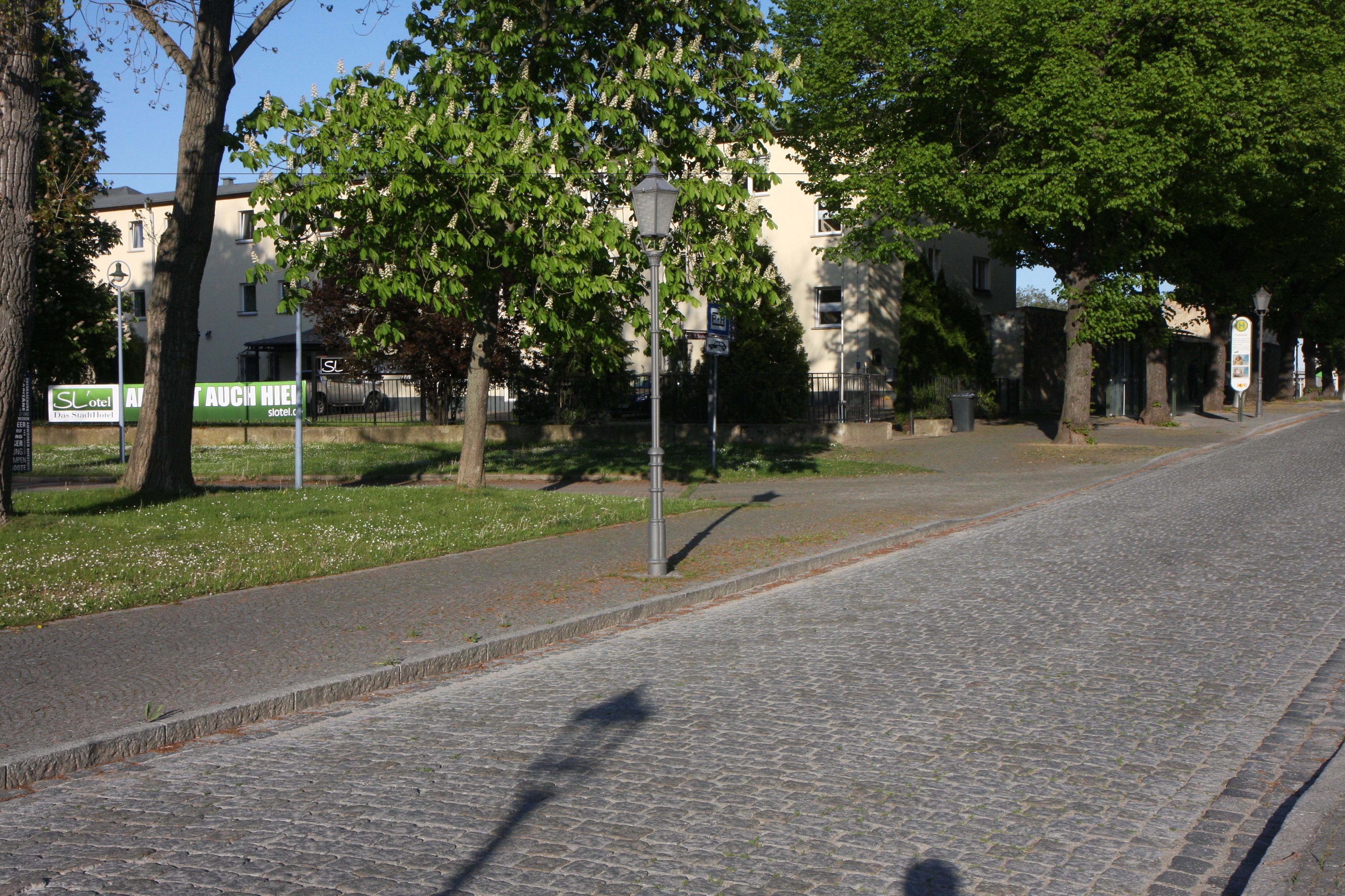 Calle adoquinada bordeada de árboles y un edificio con un letrero que dice "AUCIM HIEL".